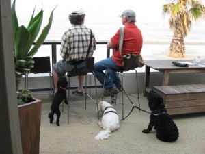 cafe-st-kilda-beach