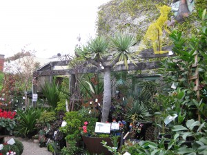 artists-garden-Brunswick-Street-fitzroy