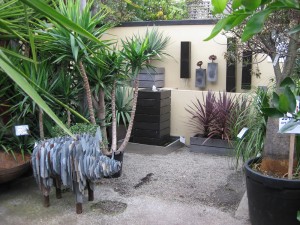 fountains-fitzroy-nursery and friendly pig