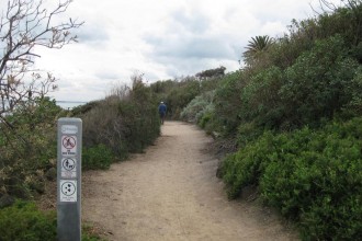 path-north-from-sandringha