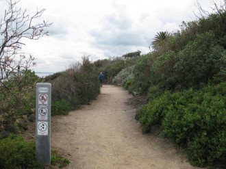 path-north-from-sandringha