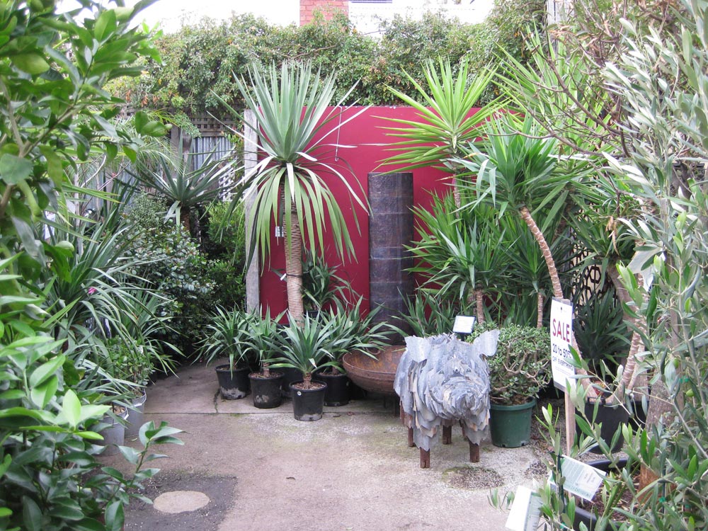 tranquility-in-brunswick-st