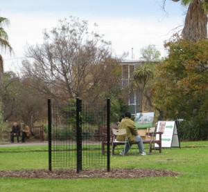 painting-st-kilda-botanical-gardens