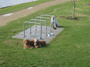 sunday-morning-albert-park