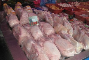 ducks-for-sale-richmond
