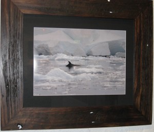 ice-and-whales-Lisa-davidso
