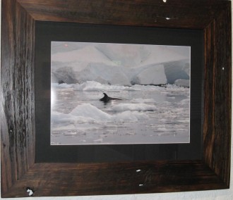 ice-and-whales-Lisa-davidso