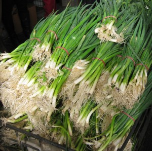 spring-onions-richmond