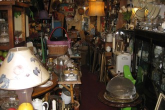 Collectors-paradise-Womango
