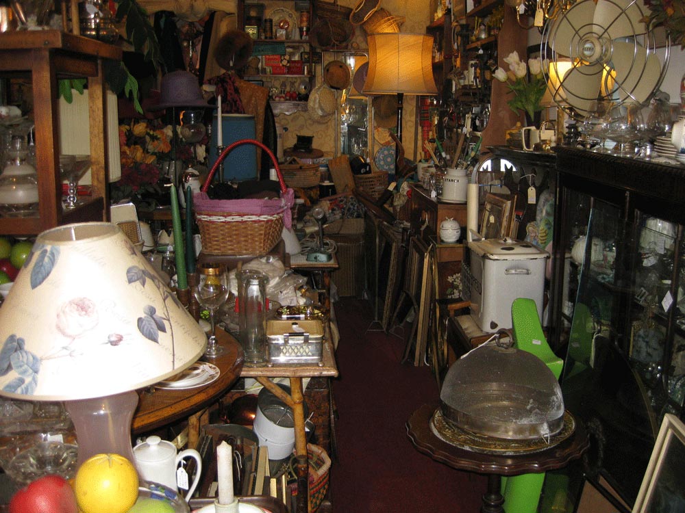 Collectors-paradise-Womango