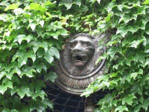 Lion-Head
