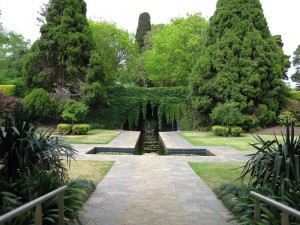 Pioneer-Women's-garden