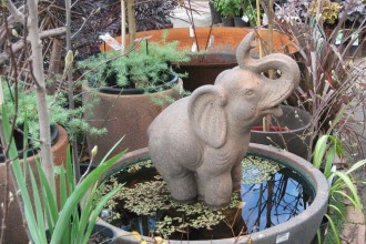 Water-feature-garden-of-eden