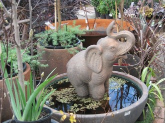 Water-feature-garden-of-eden