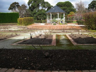 Rose-Garden-Winter