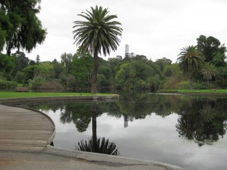 Ornamental-lake