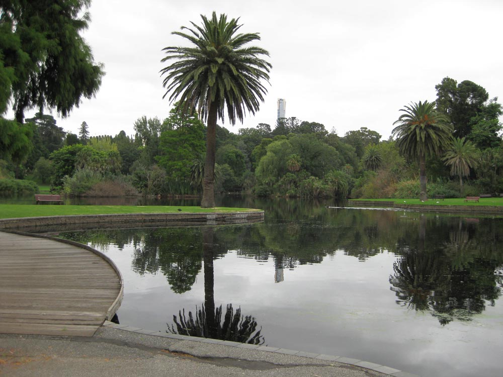 Ornamental-lake