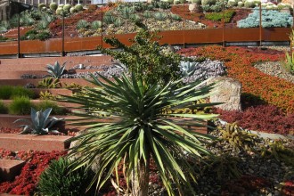 plants-around-volcano