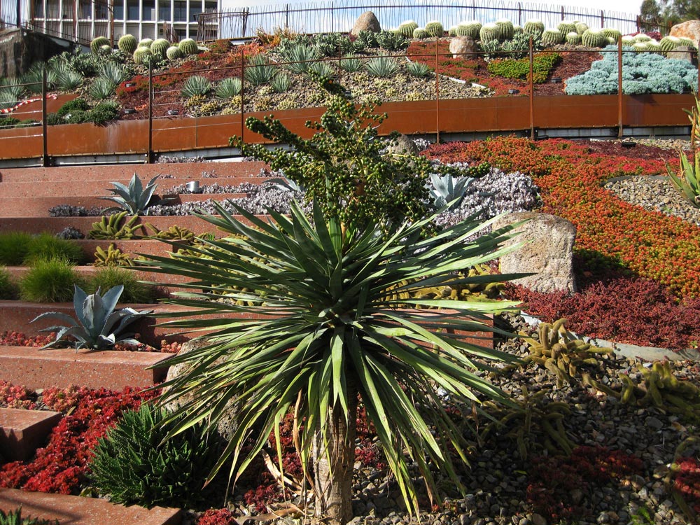 plants-around-volcano