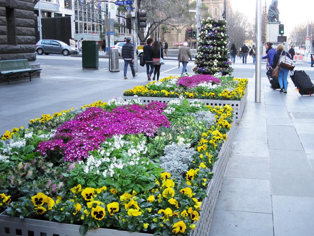 Flowers-and-Veg.
