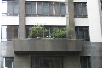 flowers-flinders-lane2