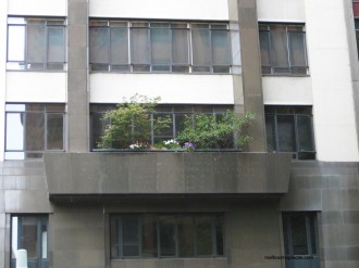 flowers-flinders-lane2