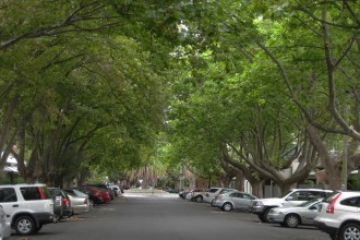 summer-richardson-street