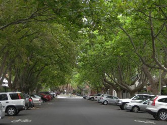 summer-richardson-street