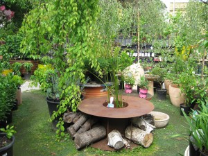 Garden Design, in Albert Park