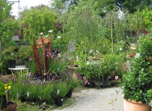 A path in The Garden of Eden