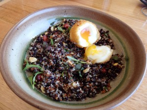 Panko crumbed hen egg