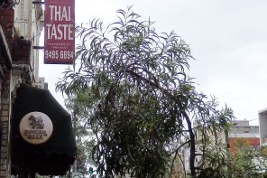 Thai-Taste-Collingwood