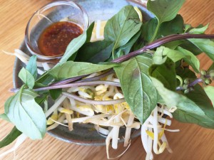 Vietnamese vegetables and herbs for the Pho