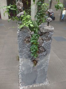 Plants