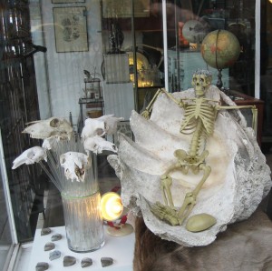 Tarlo and Graham a window styling