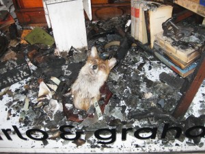 After the fire.