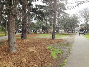 Walking towards Dandenong Road