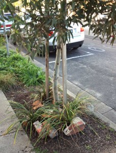 It is nice to see some effort put into the nature strip 