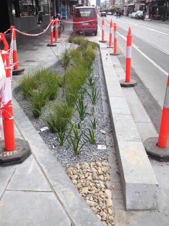 New-garden-bed-Chapel-Street