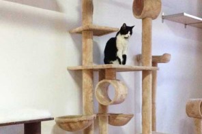 On-high