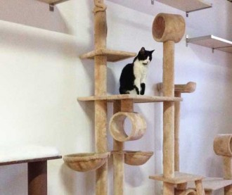 On-high