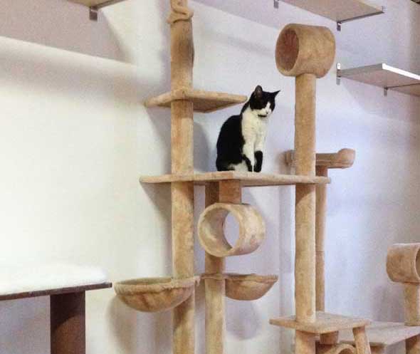 On-high