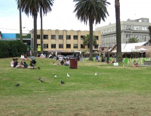 O'Donnell Gardens and the bird arrive early for their share of the market food.