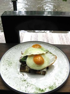 Mushrooms on corn bread with kale