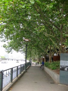 Flinders Walk alongside the Yarra