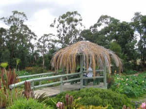 A picnic area
