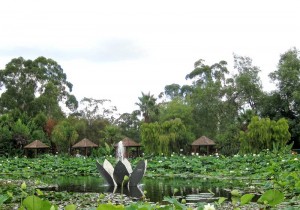 Pond with blue lotus flowers and a lotus-style fountain.