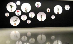Edward Roseno's Green Hypermarket series reflected in the gallery floor
