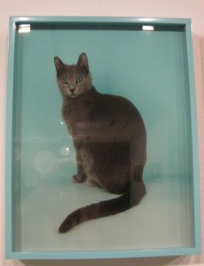 Russian Blue Elad Lassry