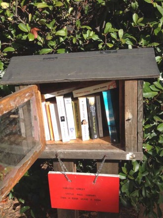 Little-Street-Library-Calis
